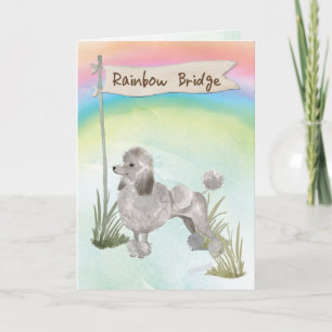 Cartão Cinza Poodle Pet Sympathon Rainbow Bridge