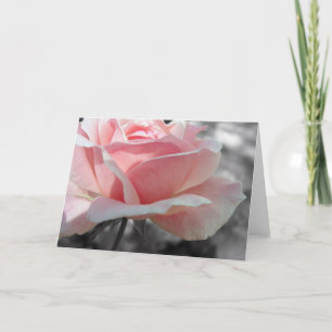 Cartão Cinza rosa rosa rosa