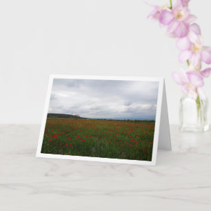 Cartão Cinza Skype sobre Poppy Field Landscape Card