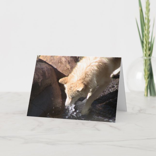 Cartão Cinza Wolf (Frente)