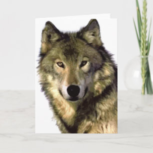Cartão Cinza Wolf
