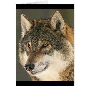 Cartão Cinza Wolf