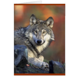 Cartão Cinza Wolf Lovers