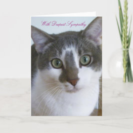 Cartão Cinzas bonitas e Gato Branco - Simpatia de Animais