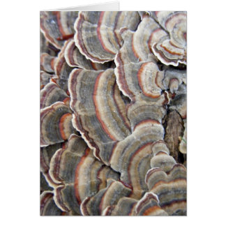 Cartão Cinzas e ondinhas dos fungos de Borgonha