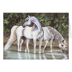 Cartão Cinzas no córrego