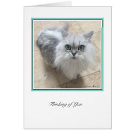 Cartão Ciollecção Ki # 2