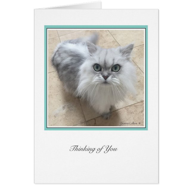 Cartão Ciollecção Ki # 2 (Frente)