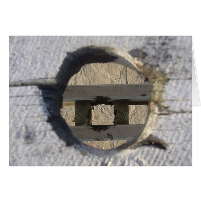 Cartão círculo (Frente Horizontal)