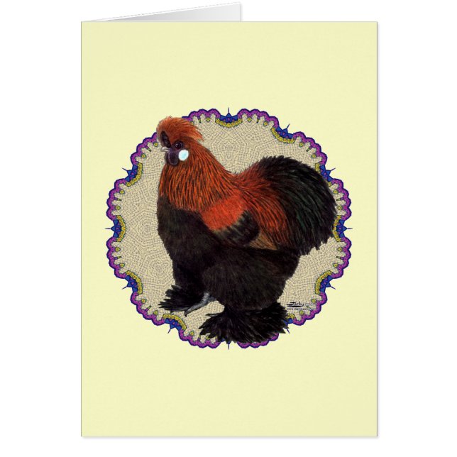 Cartão Círculo Silkie (Frente)