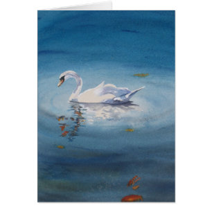 Cartão Cisne branca