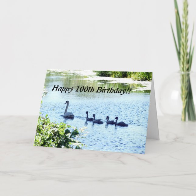 Cartão Cisne Com Cisnes No Rio (Frente)