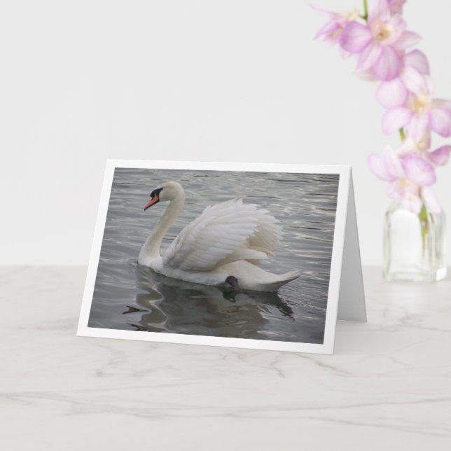 Cartão Cisne Deslizando no Lago (Orquídea)