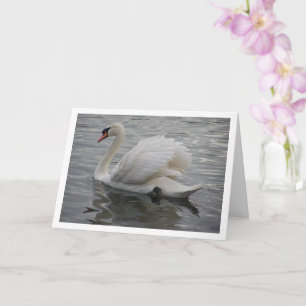Cartão Cisne Deslizando no Lago