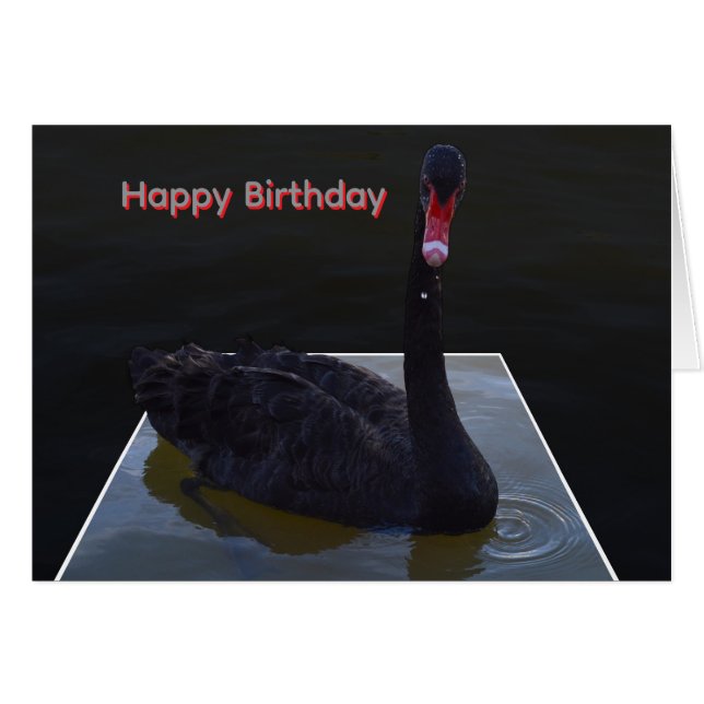 Cartão Cisne Negro Nadando em Lago Dimensional, (Frente Horizontal)