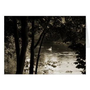 Cartão Cisne no rio