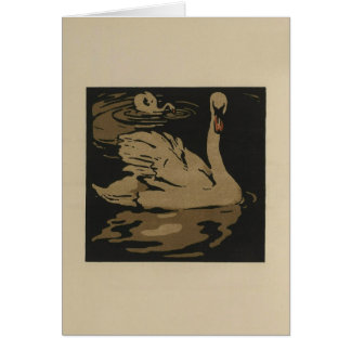 Cartão Cisnes e suas reflexões