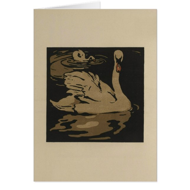 Cartão Cisnes e suas reflexões (Frente)