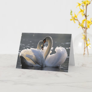 Cartão Cisnes graciosos