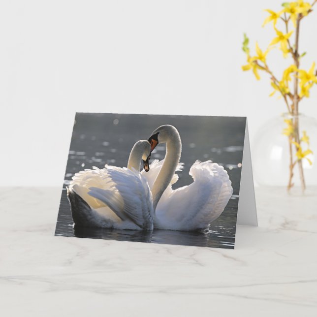 Cartão Cisnes graciosos (Flor Amarela)