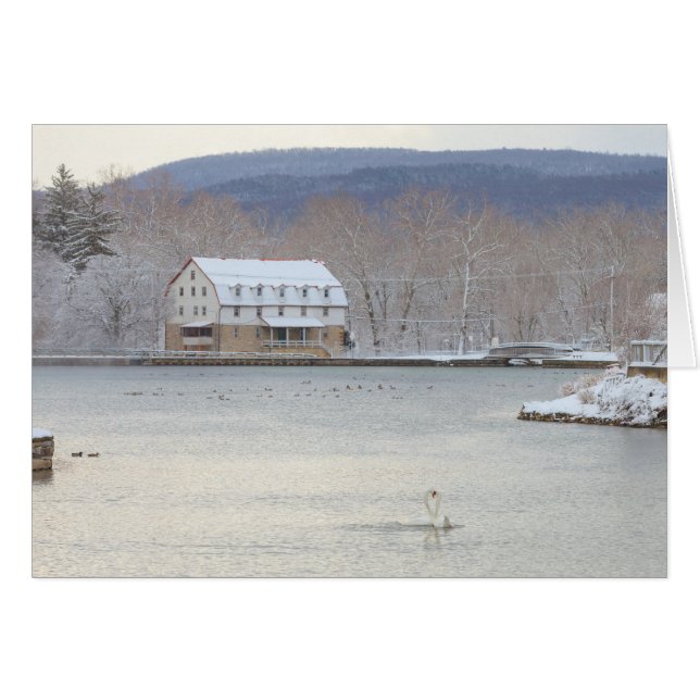 Cartão Cisnes na lagoa com moinho e colinas (Frente Horizontal)