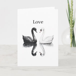 Cartão Cisnes Pretos Brancos Pássaros Reflexo Amor