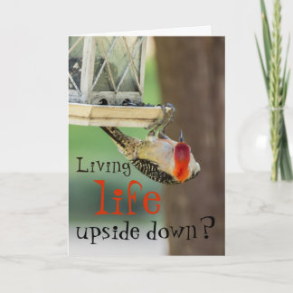 Cartão Citação da Vida com Fotografia do Pica-Pau Engraça