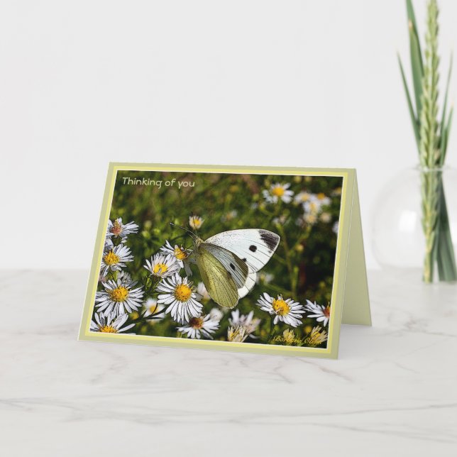 Cartão Citação de Carga/Perda (Frente)