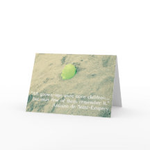 Citações do Pequeno Príncipe/Pequeno Príncipe