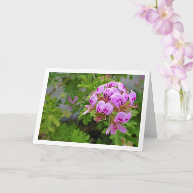 Cartão Citronella Plant com Floral (Orquídea)