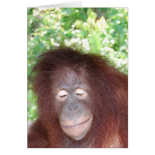 Cartão Ciúme: Belo Cabelo Vermelho Orangutan
