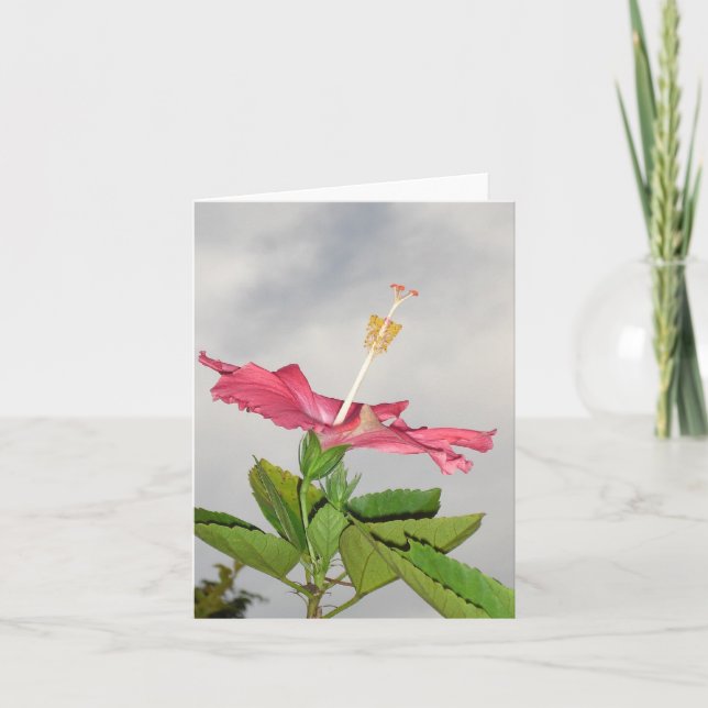 Cartão Clarion v2 (Frente)