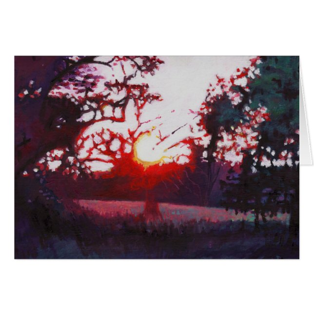 Cartão Claro aterrando 2013 (Frente Horizontal)