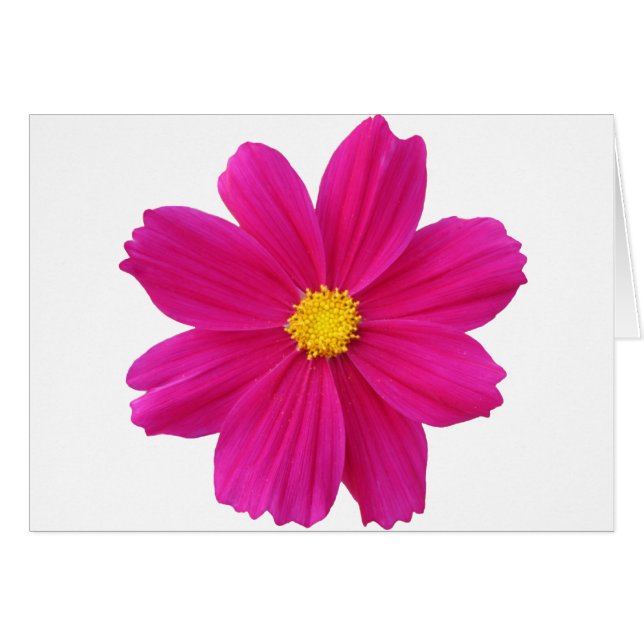 Cartão Clean.png (Frente Horizontal)