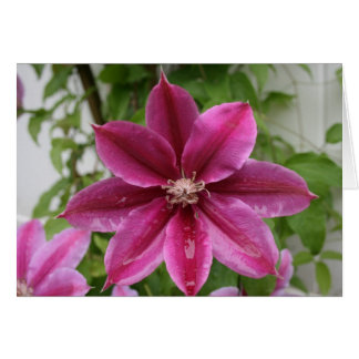 Cartão Clematis