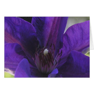 Cartão Clematis