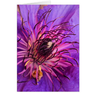CARTÃO CLEMATIS