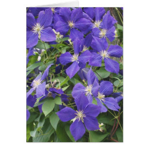 CARTÃO CLEMATIS, AZUL