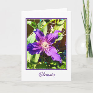 Cartão Clematis Blank Greeting Card