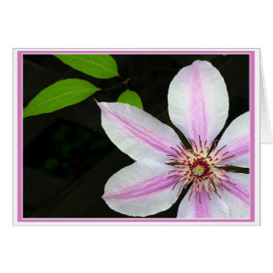 Cartão Clematis com folhas