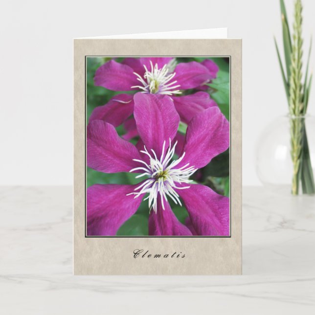 Cartão Clematis - Floral Series (Frente)
