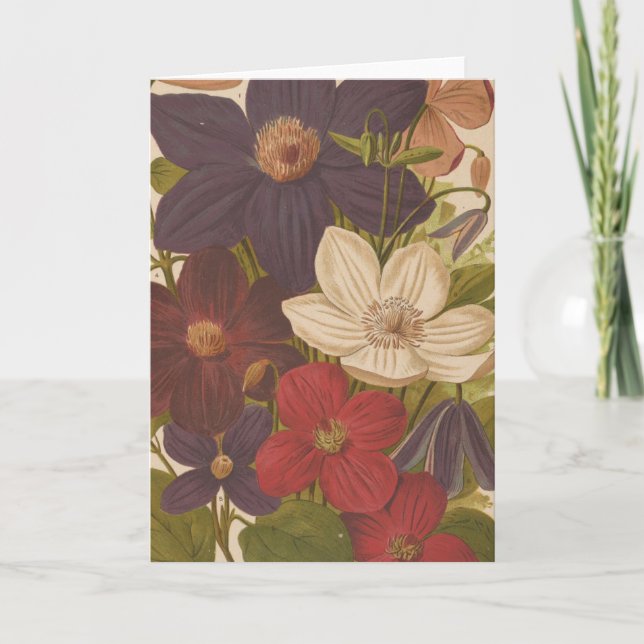 Cartão Clematis | George Nicholson (Frente)