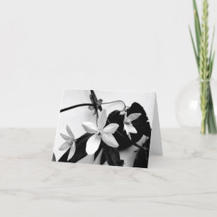 Cartão Clematis in Monochrome Notecard