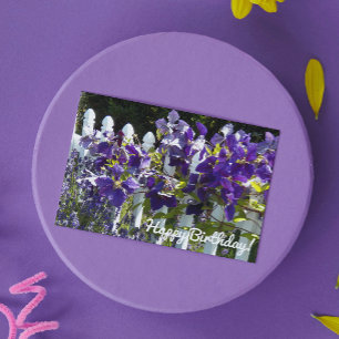 Cartão Clematite Roxa em Cerca Branca Floral Aniversário