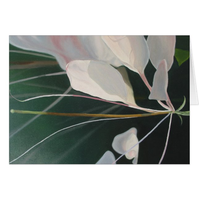 Cartão Cleome (Frente Horizontal)