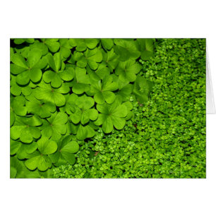 Cartão Clover Verde