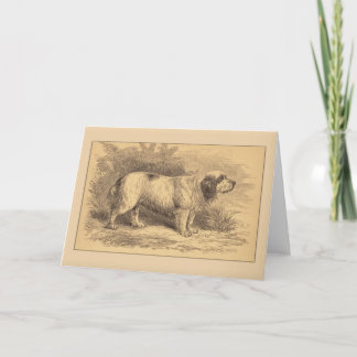 Cartão Clumber Spaniel General Greeting Card