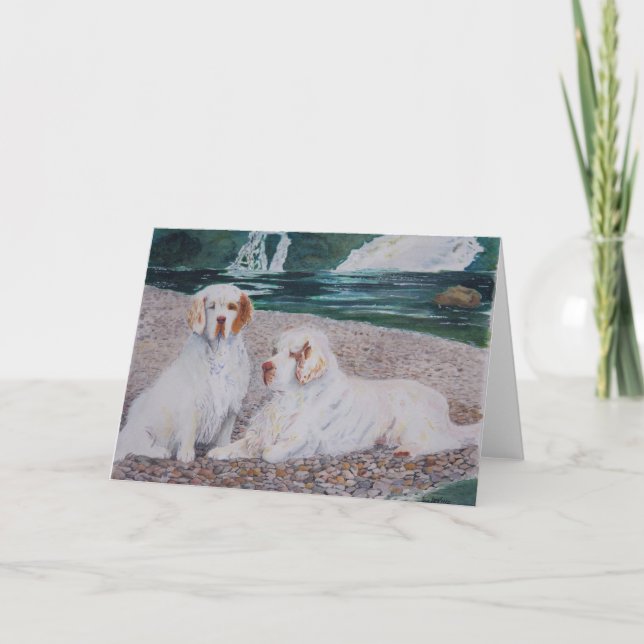 Cartão Clumber Spaniel - Pebble Beach Greeting Card (Frente)
