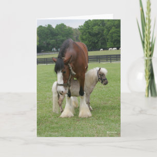 Cartão Clydesdale em cima do pônei miniatura
