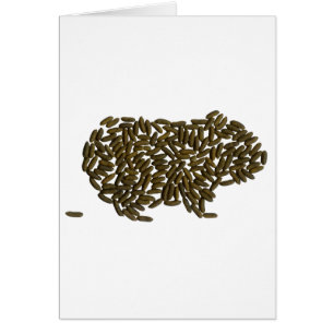 Cartão Cobaia clássica